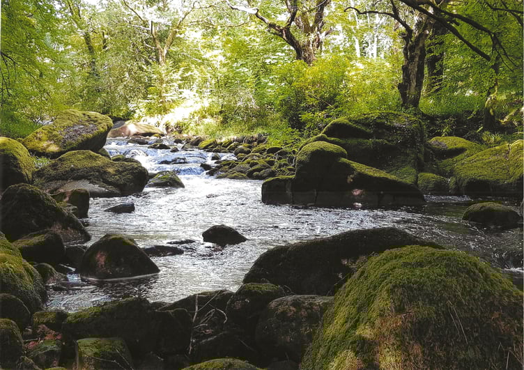 James Miller - River boulders