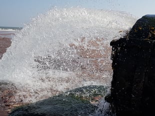 Devon MPs demand action on sewage spill