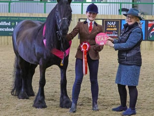 Devon Riders Triumph at SEIB Event