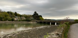 Major Incident Portal established to aid Kingsbridge murder probe
