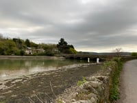 Major Incident Portal established to aid Kingsbridge murder probe