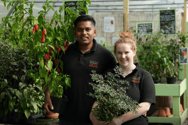 South Devon Chilli Farm prepare for new Chilli Jam launch