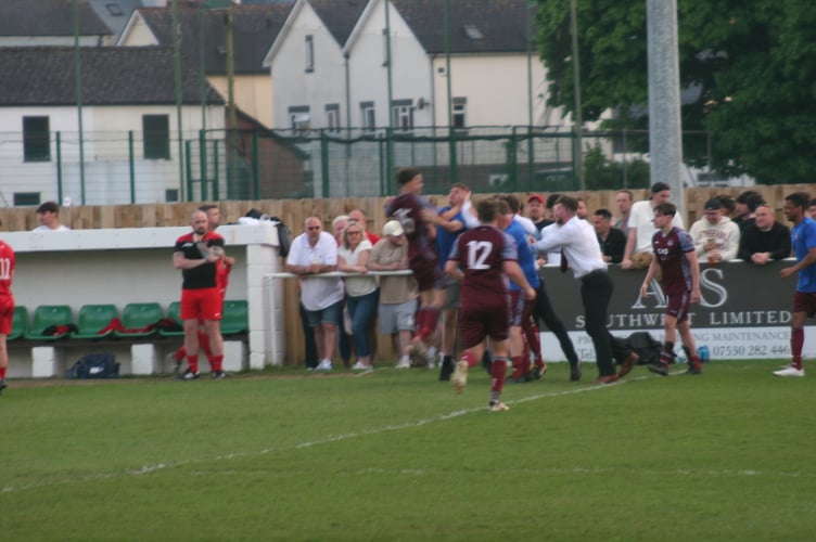 Celebrations on the Waldon Athletic bench