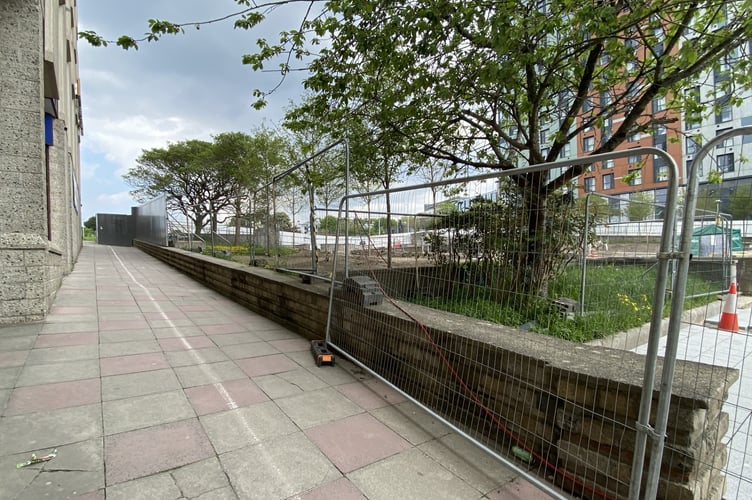 New trees planted in Armada Way, Plymouth. Image courtesy: Alison Stephenson, Radio Exe