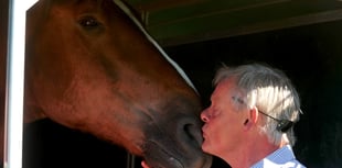 Martin Clunes opens horse event at Devon County Show