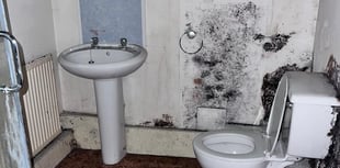 South Hams council launches damp and mould campaign
