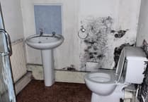 South Hams tackles damp and mould issues