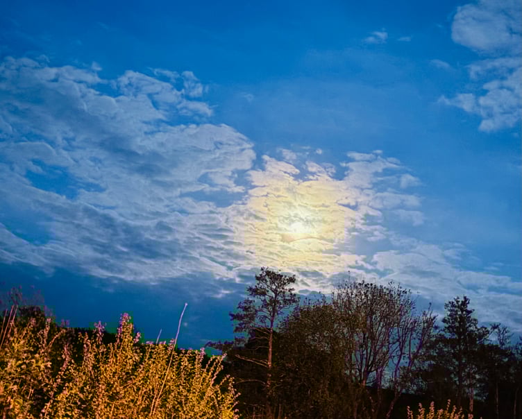 Sunset in Littlehempston - Carolyn Norris