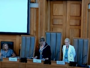Devon council cabinet criticised