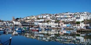 Torbay ruling on housing raises landscape concerns
