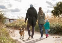 Nearly one in five South West children bitten by pets, says survey