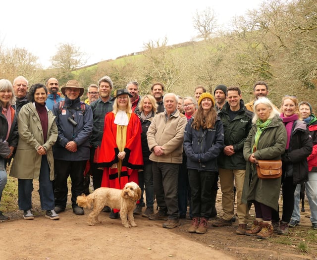 Longmarsh Saltmarsh Boardwalk unveiled: New circular walk opens