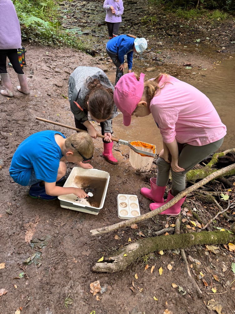 Sparkwell All Saints Primary School