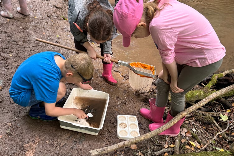 Sparkwell All Saints Primary School