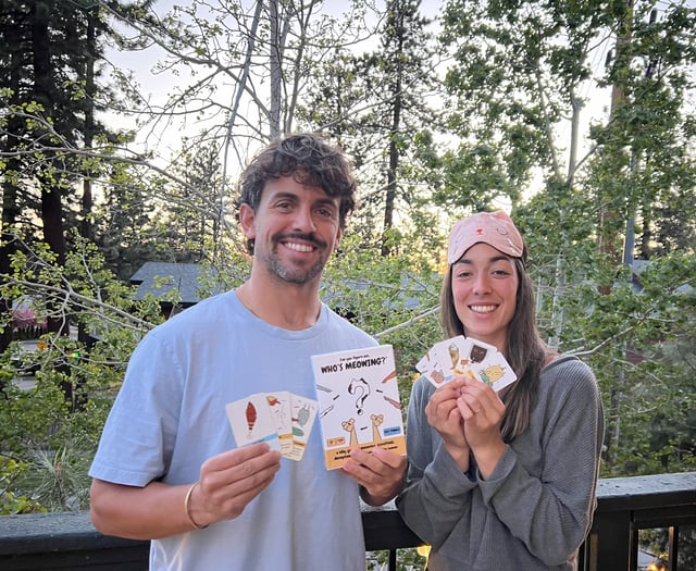 Kingsbridge businessman creates fun party game to support needy cats
