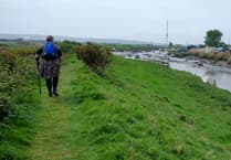 Car crash survivor plans sponsored walk