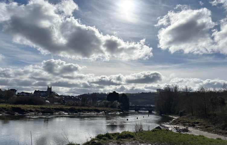 Totnes Carolyn Norris