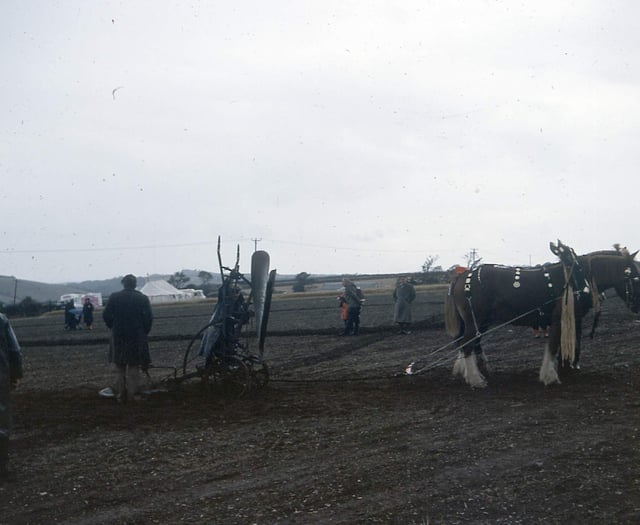 Old photographs from Kingsbridge Cookworthy Museum