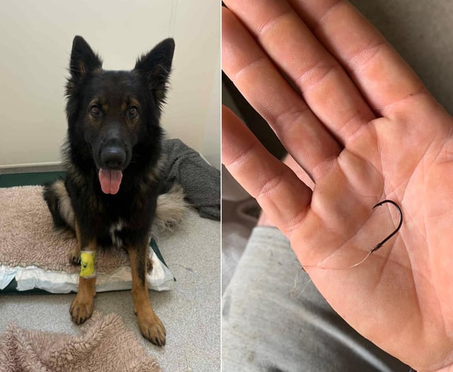 Beloved dog swallows fish hook in Bakers Park