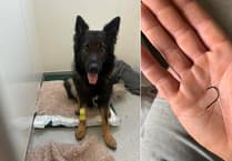 Beloved dog swallows fish hook in Bakers Park