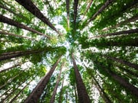 Young Explorers invited to discover green to blue nature spaces