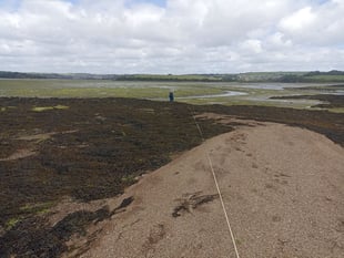 Nature Diary by Nigel Mortimer | Marine marvels cling to the Saltstone