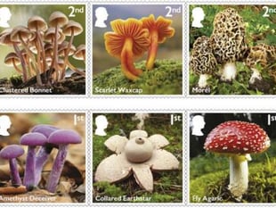 Stamps showcasing the magic of mushrooms