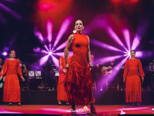 World class flamenco dancer coming to Dartington