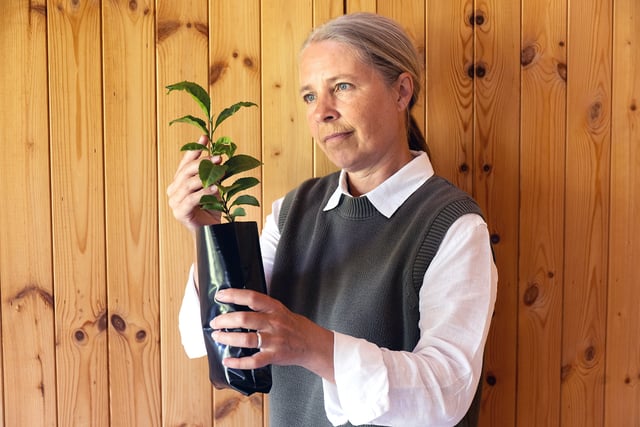 scientists explore growing tea in space