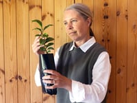 scientists explore growing tea in space