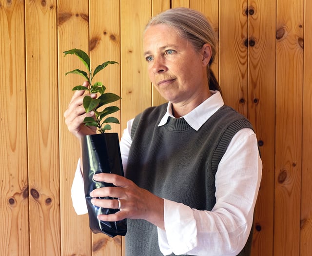 scientists explore growing tea in space