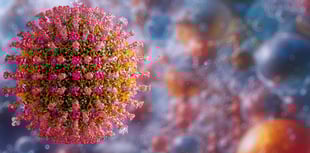 Parents urged to vaccinate children against measles 