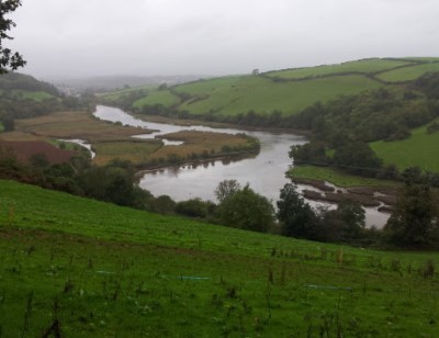 Pollution alert for River Dart swimmers