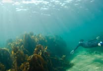 Marine conservation funding open for applications
