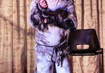 Totnes Fringe Festival's resounding success