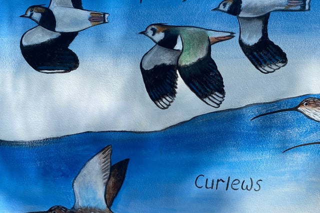 Modbury unveils new wildlife mural