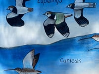 Modbury unveils new wildlife mural