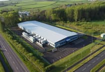 AI's Environmental Impact: What You Need to Know