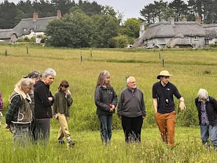 Orchard Farm leads meadow restoration efforts in the South Hams 