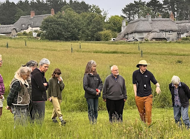 Orchard Farm leads meadow restoration efforts in the South Hams 