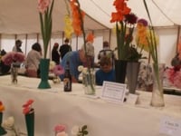 Loddiswell show sees record attendance and awards
