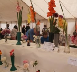 Loddiswell show sees record attendance and awards