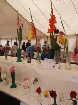 Loddiswell show sees record attendance and awards