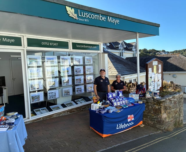 Support RNLI Fundraisers at Newton Ferrers art sale