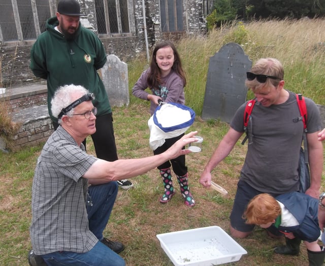 Family Fun at Wild Loddiswell