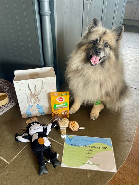 Hamley after completing his Chemotherapy 