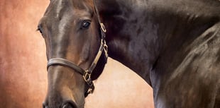 Martyn Norsworthy wins Gold at European Photography Awards