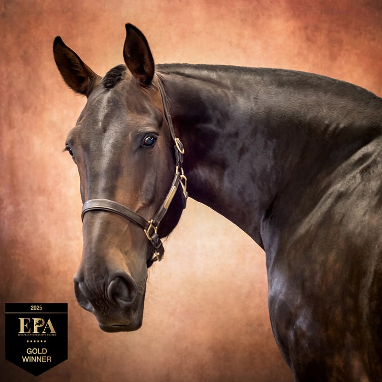 Portraits of 'Tom' by Martyn Norsworthy