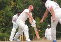 Another relegation confirmed for Dartington & Totnes Cricket Club