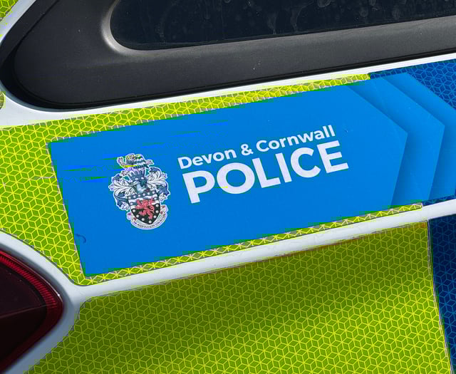 Police appeal for witnesses after attempted robbery in Plymstock
